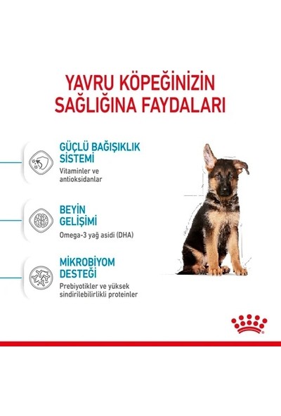 Royal Canin Shn Maxi Junior Büyük Irk Yavru Köpek Maması 15 kg