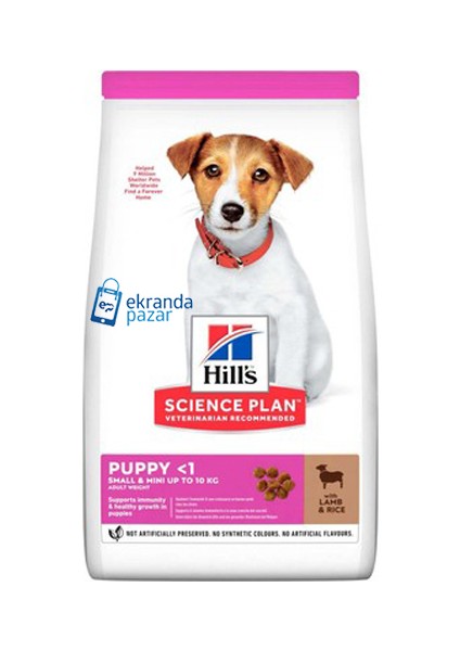 Small Mini Puppy Kuzu Pirinç Yavru Köpek Maması 1,5kg Mini Irk Kuzu Pirinçli Yavru Köpek Mama