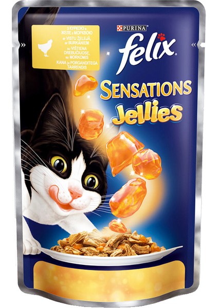 Havuçlu Jöle Içinde Tavuklu Yaş Kedi Maması 85GR 13 Adet Pouch Kedi Konserve Kedi Islak Maması