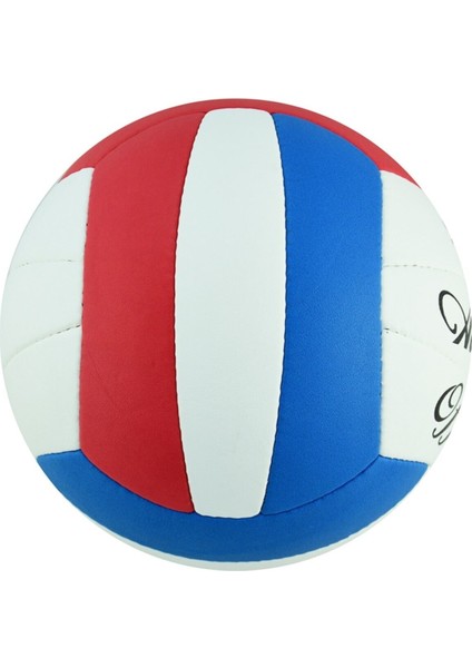 All Star Voleybol Topu (Kırmızı-Mavi) 8697666700645