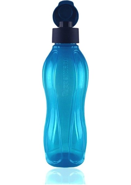 Mavi Şişe 750 ml