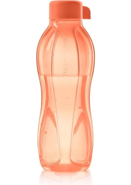 Eco+ Şişe Suluk 500 ml Turuncu