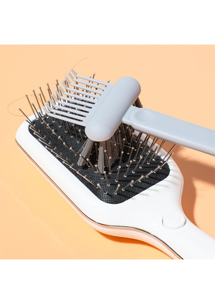 Saç Fırçası Tarak (Yurt Dışından) fırsatları