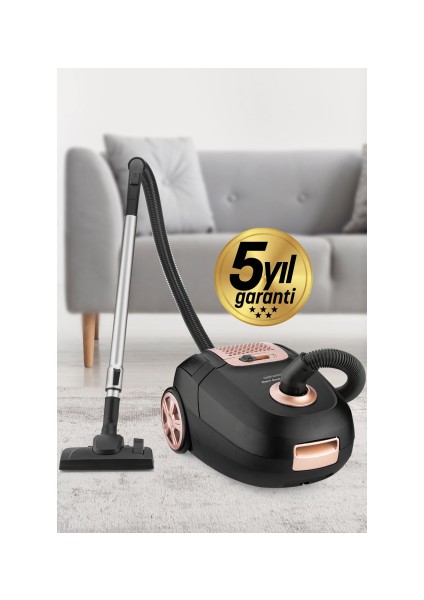 Avantajlı Ikili Set Paketi Toz Torbalı Elektrikli Süpürge Seramik Tabanlı Buharlı Ütü modelleri