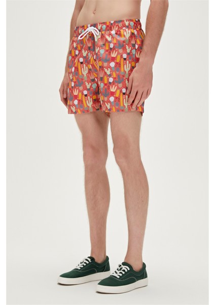 Areole Swımshort Tarçın