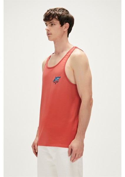 Shark Tank-Top Tarçın fiyatları