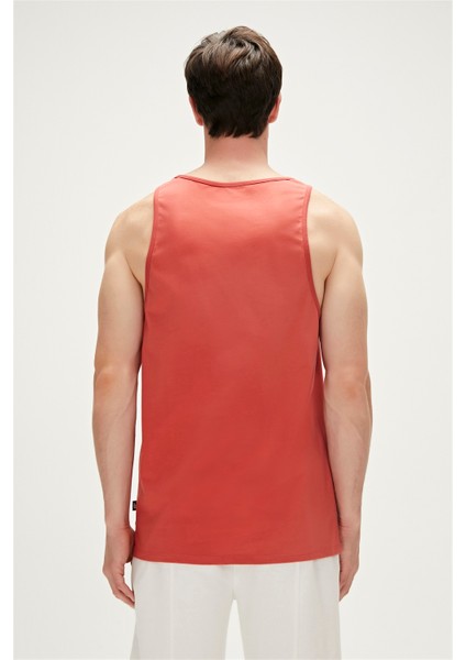 Shark Tank-Top Tarçın modelleri