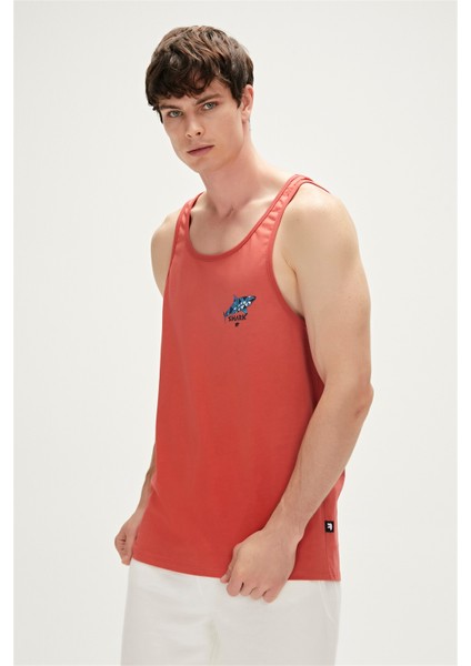Shark Tank-Top Tarçın fırsatları