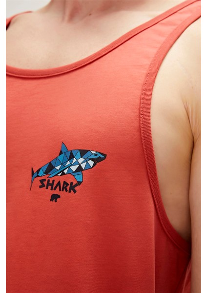 Shark Tank-Top Tarçın indirimleri