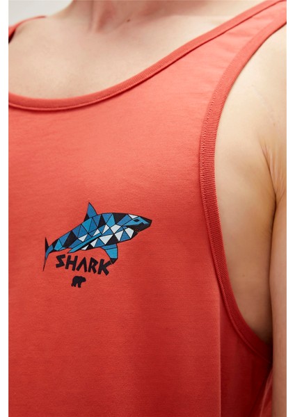 Shark Tank-Top Tarçın