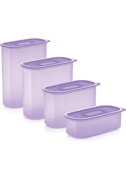 Su Oval Set 4'lü Mor Kuru Gıda Saklama Kabı Hsgl