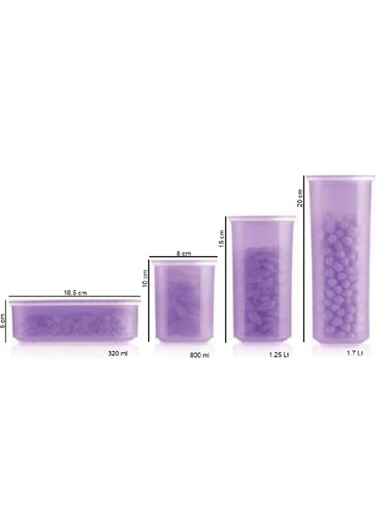 Su Oval Set 4'lü Mor Kuru Gıda Saklama Kabı Hsgl