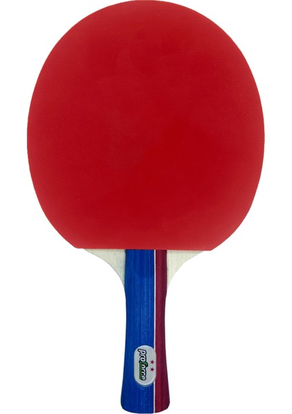 Masa Tenisi Raketi ve Kılıfı 2 Yıldız