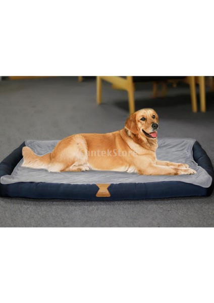 10 Köpük Golf Topu - Açık Arka Bahçeler Veya Kapalı Golf Sürüş Menzili Için Salıncak Uygulaması Için Golf Topları (Yurt Dışından)