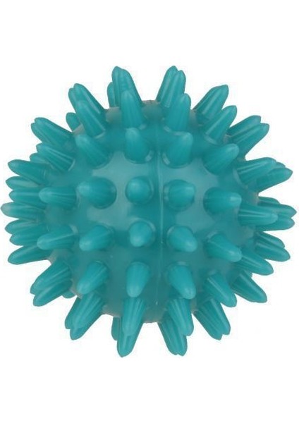 Palmiye Ayak Kol Boyun Geri Ayak Bileği Koyu Yeşil 2'li Için Masaj Topu (Yurt Dışından)