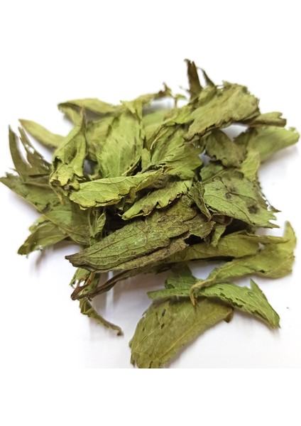 Stevia Şeker Otu 1 kg fiyatları