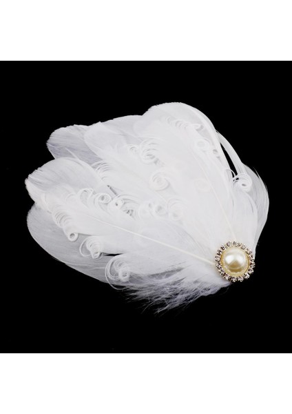 Saç Aksesuarı (Yurt Dışından) fiyatları