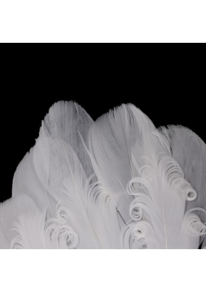 Saç Aksesuarı (Yurt Dışından) fırsatları