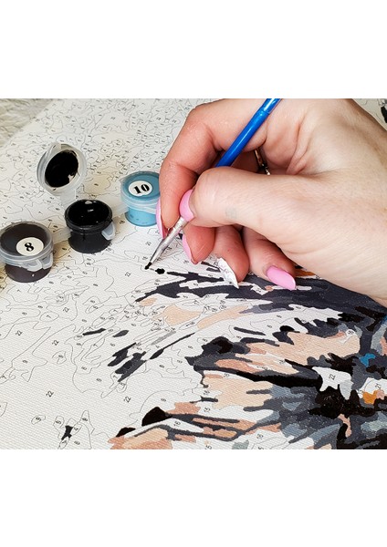 Sayılarla Boyama Seti - Müzik Odası fırsatları