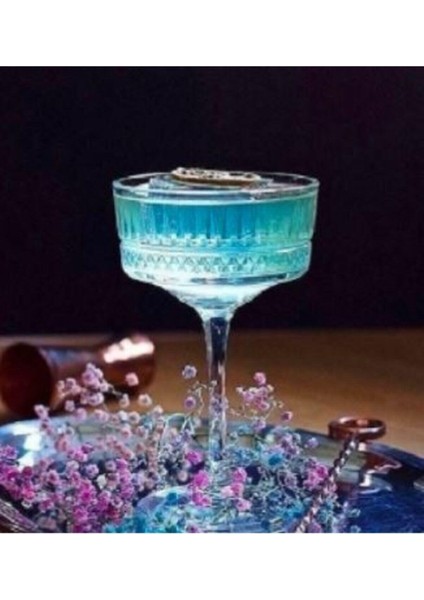 Elysia 12'l Şampanya Bardağı 260CC Elysia Ayaklı Kadeh Bardak Sunum Kadehi 12 Adet fiyatları