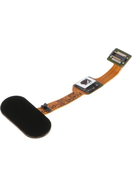 Parmak Izi Düğmesi 3 Adet (Yurt Dışından)