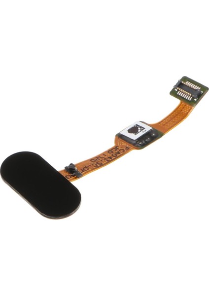 Parmak Izi Düğmesi 3 Adet (Yurt Dışından) fiyatları