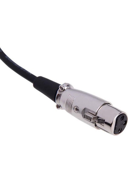 Xlr Dişi Jak 3,5 mm Erkek Trs Mikrofon Sesli Kulaklık Kablosu 300CM (Yurt Dışından)