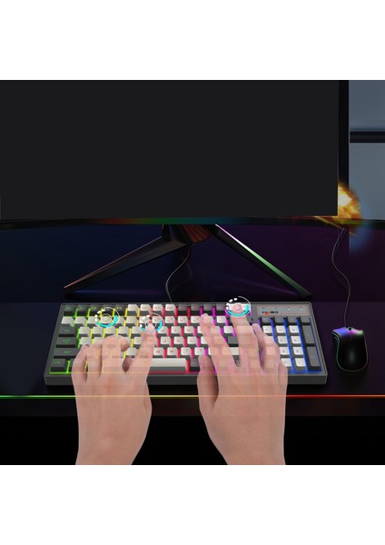 Ergonomik 96 Anahtar Kablolu Oyun Klavyesi Rgb LED Arkadan Aydınlatmalı USB C  Parça 1.8m Kablo  (Yurt Dışından)