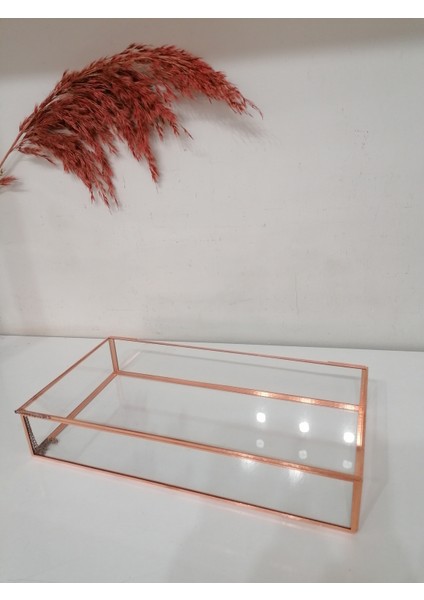 Cam Kutu 25 x 15 x 5 cm fiyatları