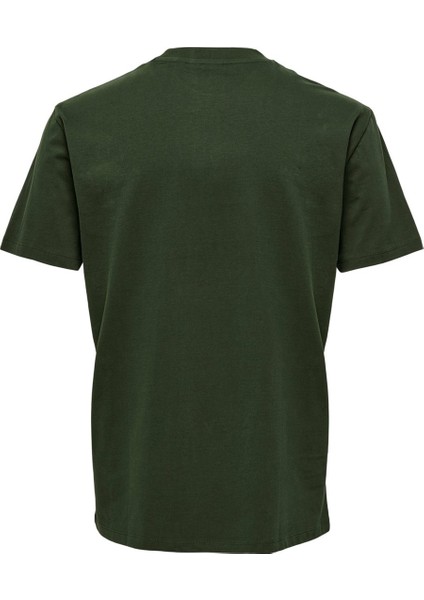 Onsharold Reg Logo Ss Tee Erkek T-Shirt