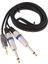 5ft Altın Kaplama 3.5mm 1/8 "trs - Çift 6.35MM 1/4" Ts Splitter (Yurt Dışından) 4