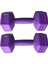 Body-Gym 2 kg x 2 Adet Dambıl Vinyl Kaplı Dumbell Ağırlık - Mor 2