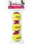 Wılson Starter Red Tball 3 Pack Tenis Topu 1