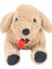 Oturakçı Toys Golden Köpek 50 cm 1