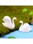 2 Pcs Minyatür Dollhouse Reçine Mini Swan Peri Bahçesi Terrarium Dekor Bonsai (Yurt Dışından) 2
