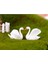 2 Pcs Minyatür Dollhouse Reçine Mini Swan Peri Bahçesi Terrarium Dekor Bonsai (Yurt Dışından) 3