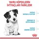 Royal Canin Mini Puppy Yavru Kuru Köpek Maması 4 Kg