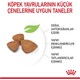 Royal Canin Mini Puppy Yavru Kuru Köpek Maması 4 Kg