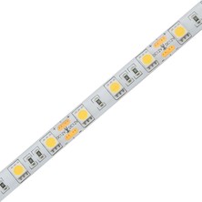 Braytron BS01-00309-BRAYTRON 14.4W 60 Led.rgb IP20 Şerit LED