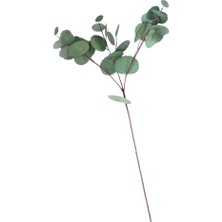 Vonluxe 1branch Yapay Okaliptüs Ev Ofis Dekoru Için Sahte Çiçek Bırakır 63CM (Yurt Dışından)
