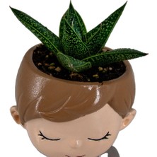 Grow Botanik Çocuklara Özel Ürün - Çocuk Temalı Saksılı Gasteria Royal Princess