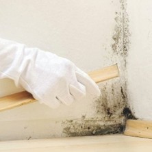 Izower M 30 Küf Ve Rutubet Önleyici Anti-Mould Paint-3,5 Kg