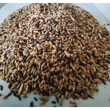 Natural Karışık Kanarya  (Şalgamsız) Yemi 1 kg