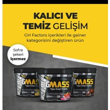 Bigjoy Sports Bigmass Mass Gainer Gh factors Karbonhidrat Protein Çikolata Aroma 3000g