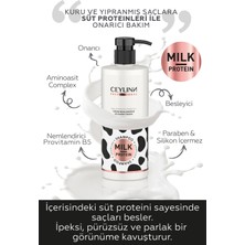 Ceylin Milk Protein Şampuan Silikonsuz 500 ml