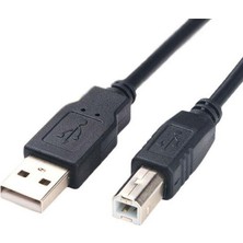 Yeajion 10 Parça USB 2.0 A Tip A Erkek - B Male Kablo Kablosu / Siyah 0,3 Metreye Uygun (Yurt Dışından)