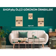 SHOP365 Şekiller ve Çizgiler Siyah Gri Renkler Modern Poster P-003414