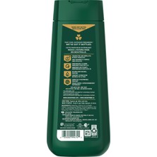 Irish Spring Mountain Chill Yüz Ve Vücut Şampuanı 591ml