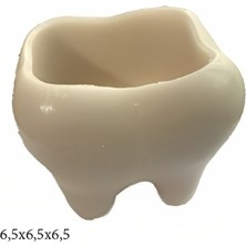 Butedo Beton Grubu Silikon Şeker Hamuru Dekor,sabun, Saksı ve Mum Kalıbı