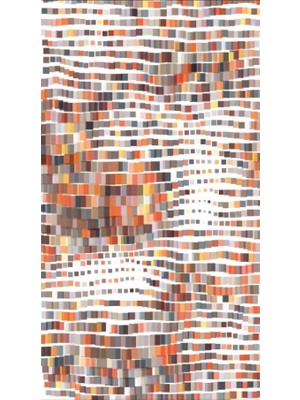 Motorcu Buff Maske Boyunluk Outdoor Boyunluk Unisex Bandana 5'li Paket